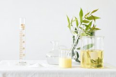 為什么越來越多的人愿意去新西蘭留學？去新西蘭留學有什么好處？